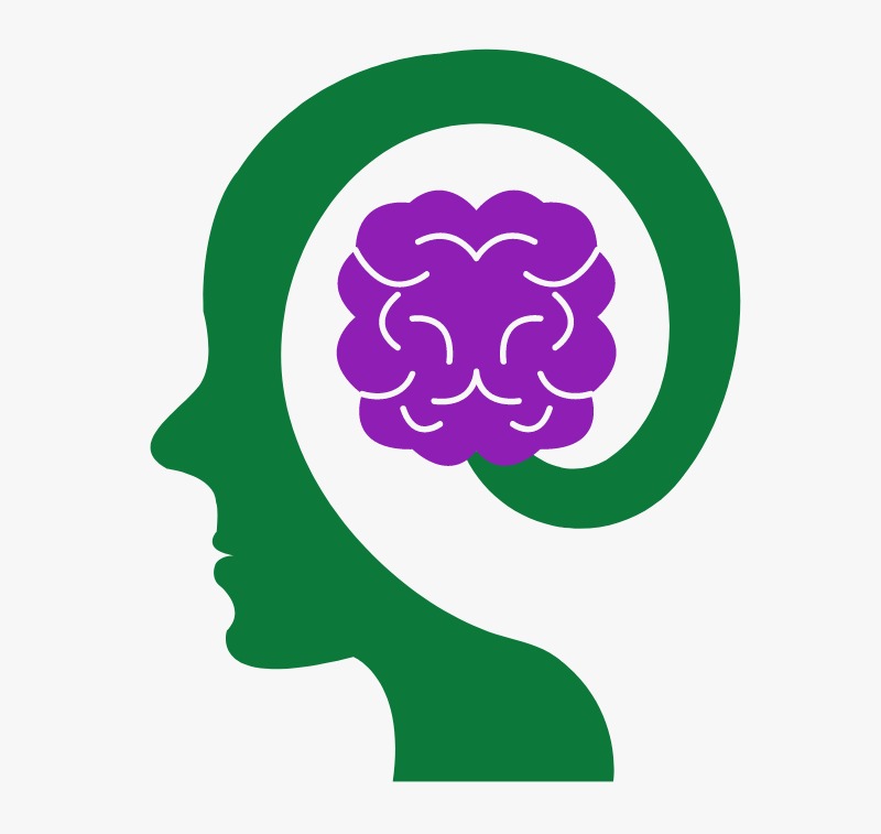 Illustration of a human head with a brain, representing genetic knowledge and privacy